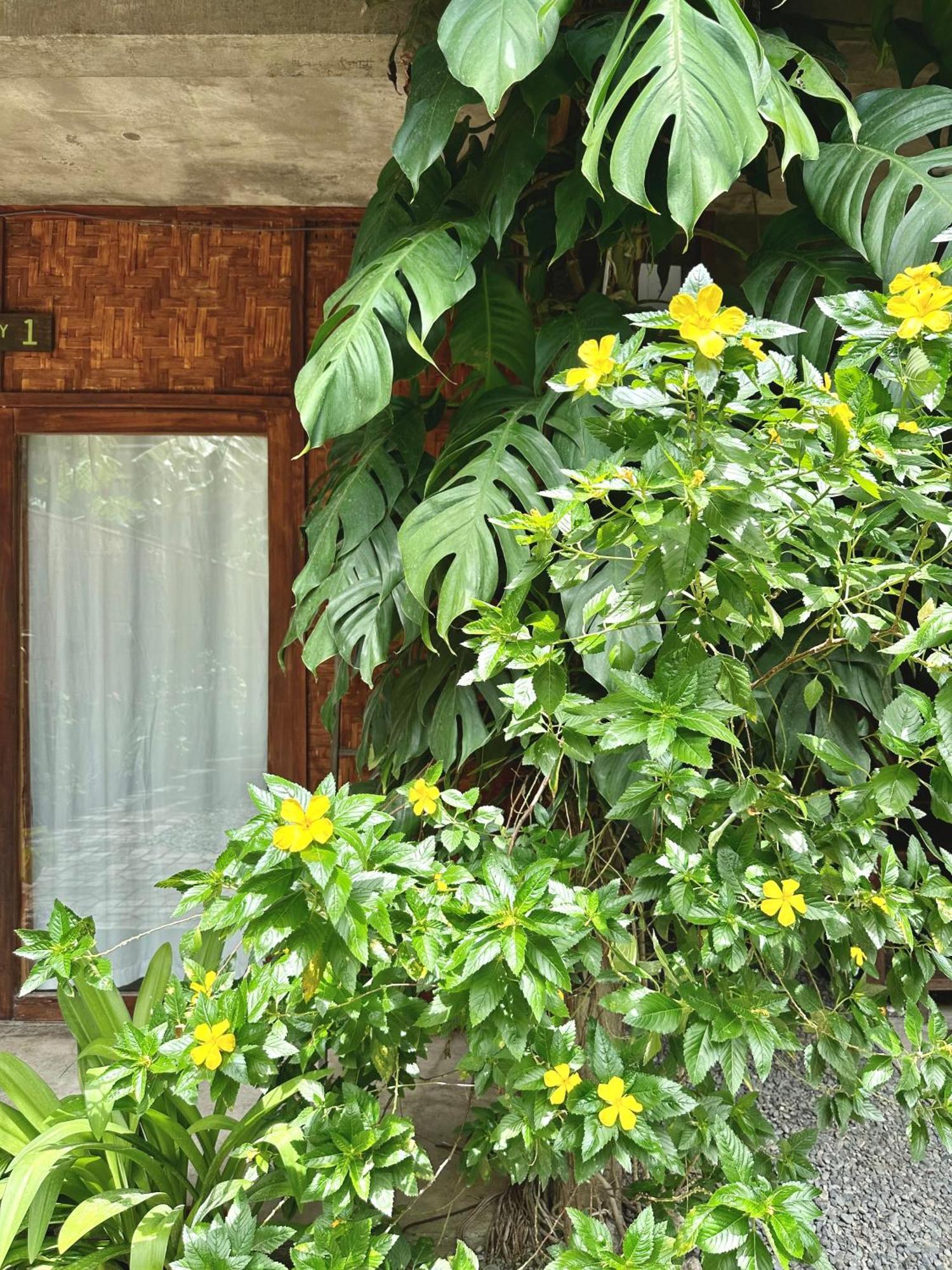 Auberge de jeunesse Alpas Siargao à General Luna  Extérieur photo